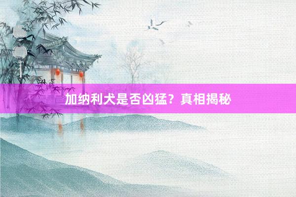 加纳利犬是否凶猛？真相揭秘